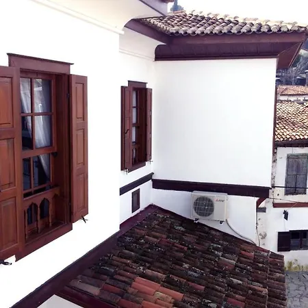 Aycan Hanim Konagi *